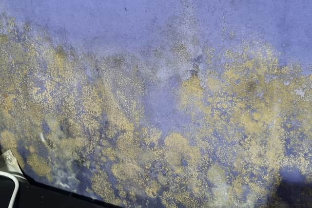 Mould in Tammy and Jamie’s flat in Hackney. Photo: LondonWorld
