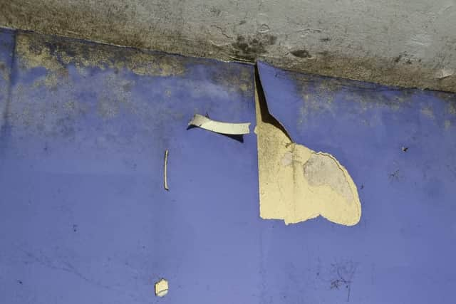 Black mould and peeling wallpaper. Photo: LondonWorld