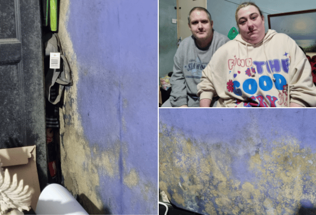 Tammy Mcfall and husband Jamie’s home is coated in mould. Photo: LondonWorld