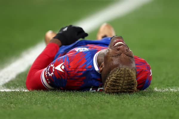 Wilfried Zaha of Crystal Palace goes down with an injury during the Premier League match between Crystal Palace and Newcastle United (Photo by Richard Heathcote/Getty Images)