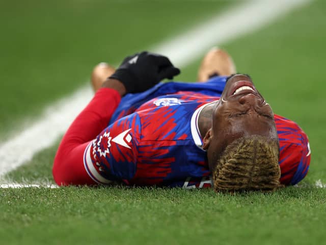 Wilfried Zaha of Crystal Palace goes down with an injury during the Premier League match between Crystal Palace and Newcastle United (Photo by Richard Heathcote/Getty Images)