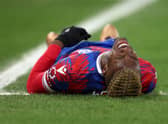 Wilfried Zaha of Crystal Palace goes down with an injury during the Premier League match between Crystal Palace and Newcastle United (Photo by Richard Heathcote/Getty Images)