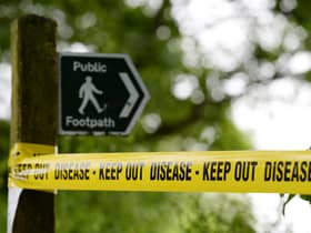Avian flu have been spotted in mammals such as minks.