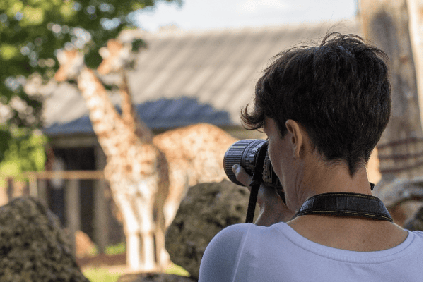 London Zoo is handing out £3 tickets to people on low incomes