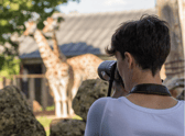 London Zoo is handing out £3 tickets to people on low incomes