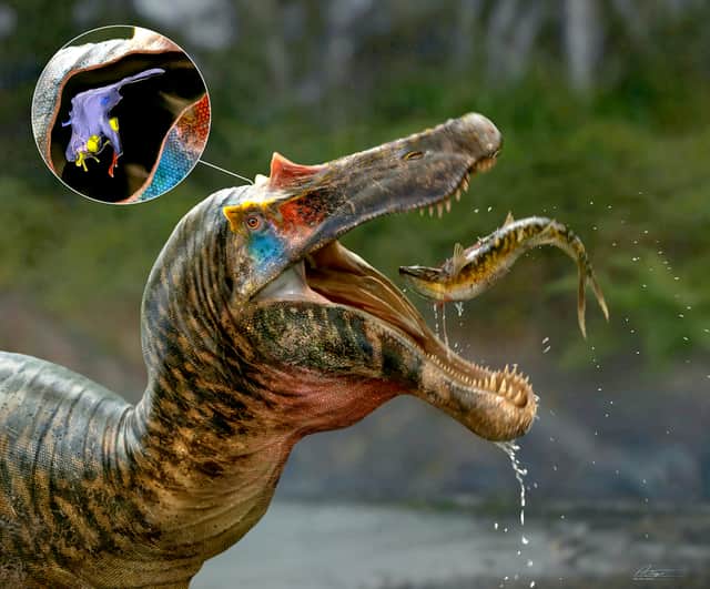 Brain of biggest-ever meat-eating dinosaur unveiled | LondonWorld