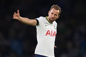 Harry Kane of Tottenham gestures during the Premier League match between Leicester City and Tottenham Hotspur  (Photo by Michael Regan/Getty Images)