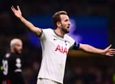  English striker Harry Kane reacts during the UEFA Champions League round of 16, first leg football match between AC Milan  (Photo by Marco BERTORELLO / AFP) (Photo by MARCO BERTORELLO/AFP via Getty Images)