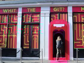 What The Gut? Museum