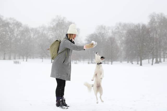 Beast from the East brought heavy snow to the UK in 2018. Picture: Getty Images