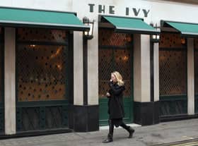 The Ivy 