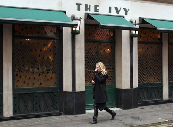 The Ivy 