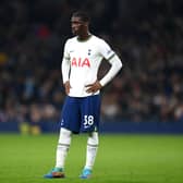 Yves Bissouma of Tottenham Hotspur looks on during the Friendly match between Tottenham Hotpsur and OGC Nice  (Photo by Alex Davidson/Getty Images)