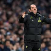 Cristian Stellini, Assistant Manager of Tottenham Hotspur, reacts during the Premier League match   (Photo by Justin Setterfield/Getty Images)
