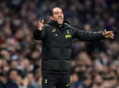 Cristian Stellini, Assistant Manager of Tottenham Hotspur, reacts during the Premier League match   (Photo by Justin Setterfield/Getty Images)