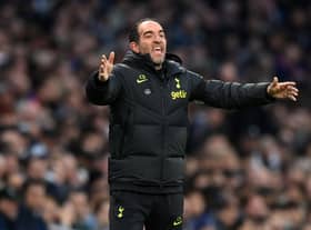 Cristian Stellini, Assistant Manager of Tottenham Hotspur, reacts during the Premier League match   (Photo by Justin Setterfield/Getty Images)