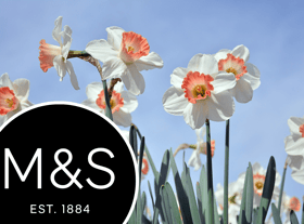 M&S has apologised for displaying daffodils next to spring onions