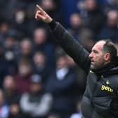 Tottenham Hotspur’s Italian assistant head coach Cristian Stellini gestures on the touchline during the English Premier League (Photo by JUSTIN TALLIS/AFP via Getty Images)
