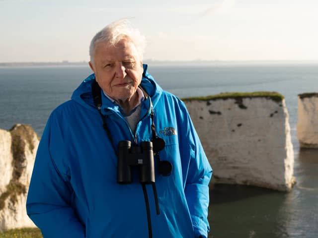 Sir David Attenborough presents Wild Isles