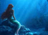 The Little Mermaid will be released in cinemas soon