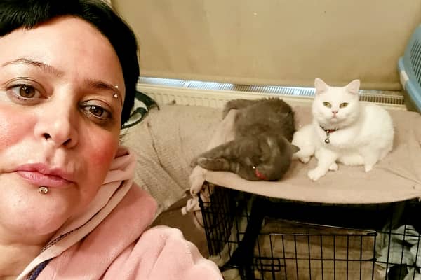 Yasemn Kaptan has been skipping meals to be able to provide for her six cats. (Picture: Yasemn Kaptan/SWNS)