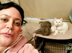 Yasemn Kaptan has been skipping meals to be able to provide for her six cats. (Picture: Yasemn Kaptan/SWNS)