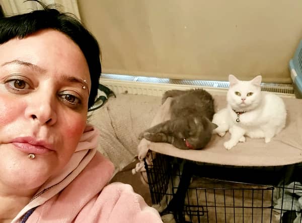 Yasemn Kaptan has been skipping meals to be able to provide for her six cats. (Picture: Yasemn Kaptan/SWNS)