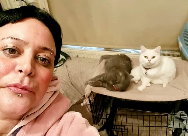 Yasemn Kaptan has been skipping meals to be able to provide for her six cats. (Picture: Yasemn Kaptan/SWNS)