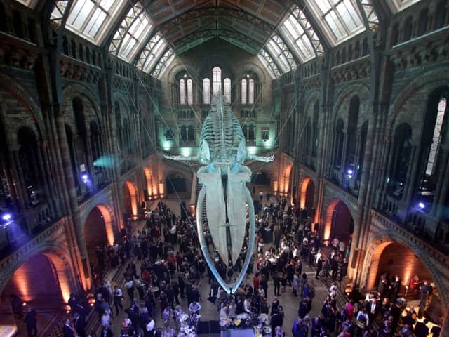 Guests mingle beneath a blue whale skeleton at the Natural History Museum in 2017. (Picture: Yui Mok/AFP via Getty Images)