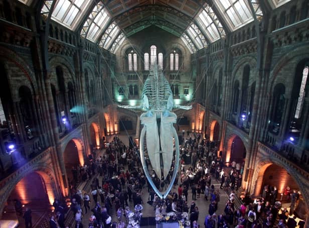 Guests mingle beneath a blue whale skeleton at the Natural History Museum in 2017. (Picture: Yui Mok/AFP via Getty Images)