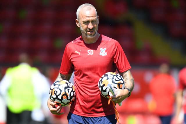 Crystal Palace coach Shaun Derry during the Pre-Season Friendly match between Walsall  (Photo by Tony Marshall/Getty Images)