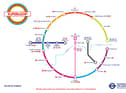 Route map of the new “Superloop” bus network. Credit: TfL