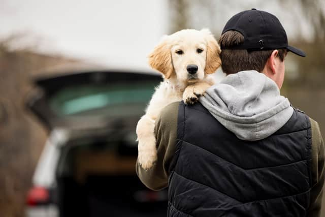 Figures show just how rare dog theft prosecutions are in London.