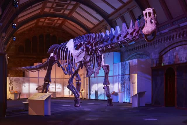 The Titanosaur exhibition is currently on at the Natural History Museum. Credit: Trustees of The Natural History Museum