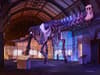 Natural History Museum’s new Titanosaur: Biggest dinosaur ever discovered on display