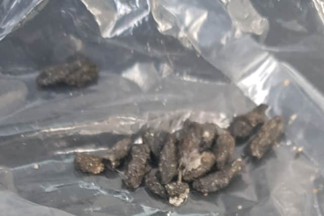 Droppings found at Yasar Halim Supermarket.