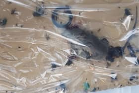Dead rodents and their waste products were found at Yasar Halim Supermarket.