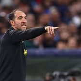 Cristian Stellini, Assistant Manager of Tottenham Hotspur gives their team instructions during the UEFA Champions League (Photo by Clive Rose/Getty Images)