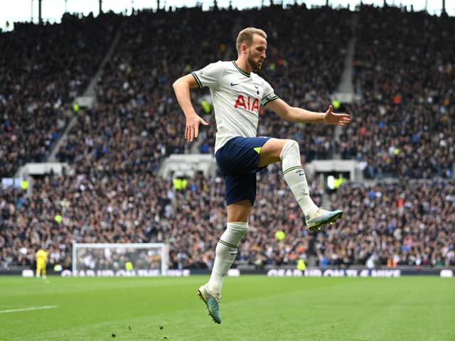 Harry Kane of Tottenham Hotspur celebrates after scoring the team's first goal during the Premier League match (Photo by Justin Setterfield/Getty Images)