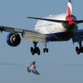 Security staff in Campus and Terminal 5 at Heathrow have been striking over pay and conditions. Credit: Dan Kitwood/Getty Images.