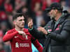 Assistant referee in Liverpool v Arsenal game appears to ‘elbow’ Andy Robertson after tempestuous first half