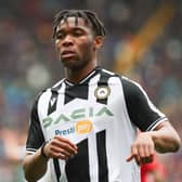 Destiny Udogie of Udinese Calcio looks on during the Serie A match between Udinese Calcio . (Photo by Emmanuele Ciancaglini/Getty Images)