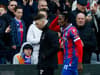 Crystal Palace provide Wilfried Zaha, Nathaniel Clyne and Vicente Guaita injury updates ahead of Southampton