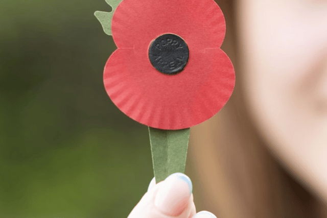 Creta Piscina Tractor Royal British Legion announce new plastic-free poppies | LondonWorld