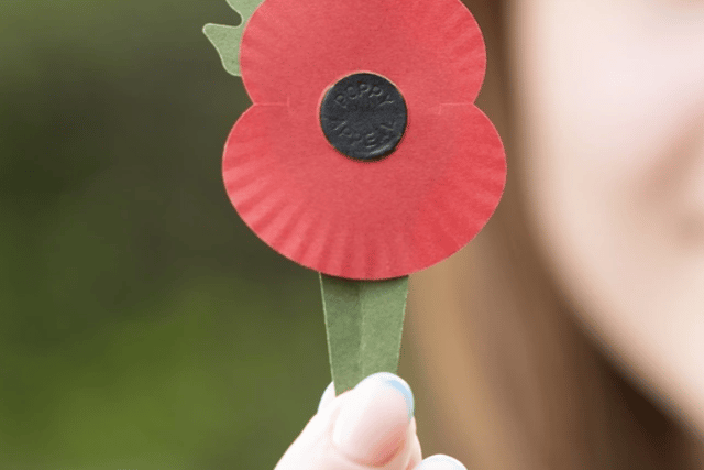 How Did The Poppy Become A Symbol Of Remembrance (2023)