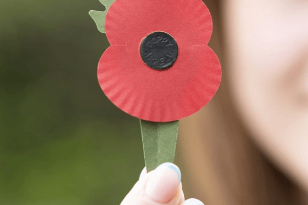 The new plastic-free poppy (Photo: Royal British Legion) 