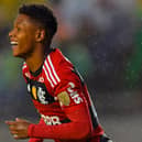 Matehus Franca could be the next big thing (Image: Getty Images)