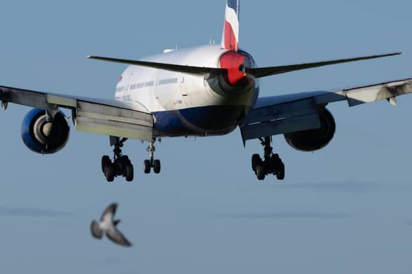 1,400 security staff at Heathrow have voted for a further eight days of strikes in May. Credit: Dan Kitwood/Getty Images.