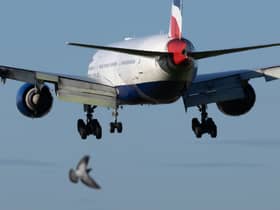 1,400 security staff at Heathrow have voted for a further eight days of strikes in May. Credit: Dan Kitwood/Getty Images.