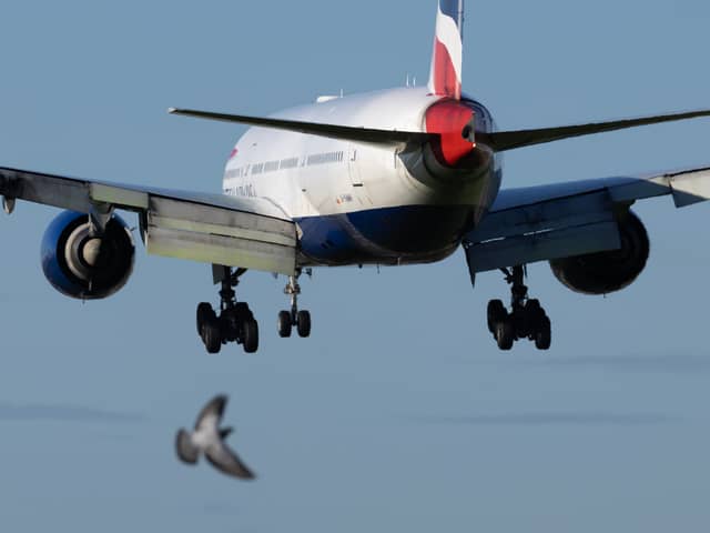 1,400 security staff at Heathrow have voted for a further eight days of strikes in May. Credit: Dan Kitwood/Getty Images.